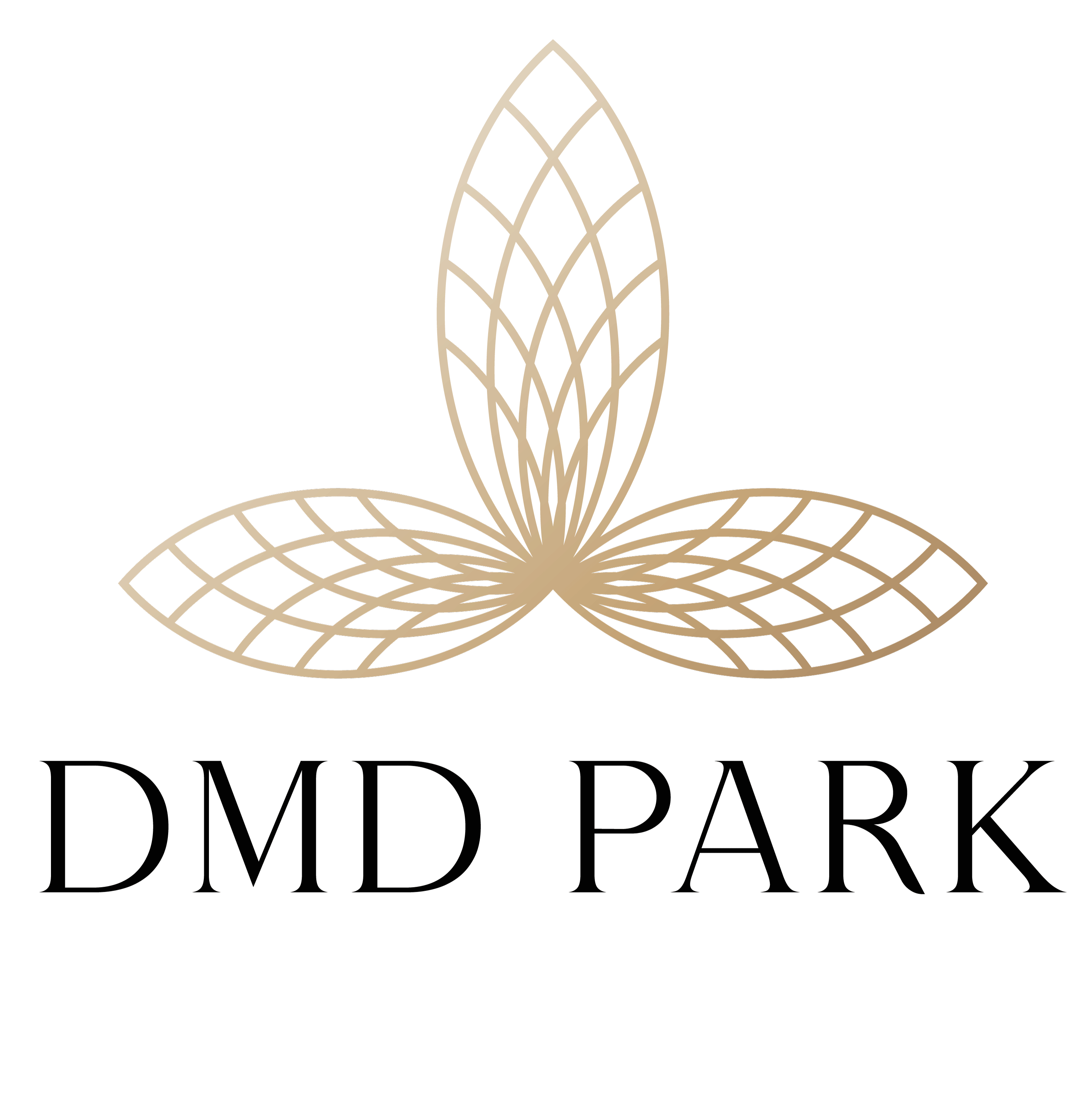 DMD PARK